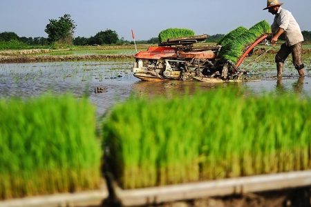 دسترنج بی‌سرانجام