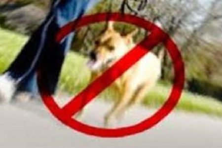 سگ‌گردانی در مازندران ممنوع می‌شود؟