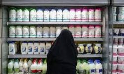 رشد زنجیره‌ای قیمت‌های لبنیات در غیبت نظارت