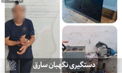 دستگیری سارق منزلی که نگهبان شهرک بود.