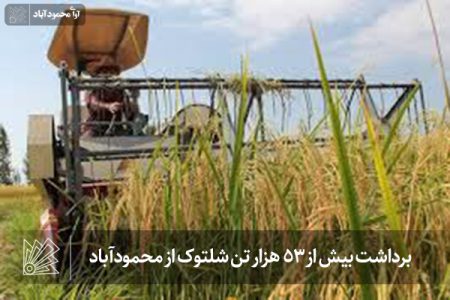 برداشت بیش از 53 هزار تن شلتوک از محمودآباد