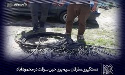 دستگیری سارقان سیم برق حین سرقت در محمودآباد