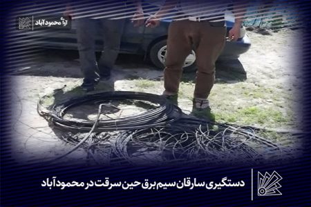 دستگیری سارقان سیم برق حین سرقت در محمودآباد