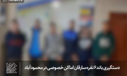 دستگیری باند ۶ نفره سارقان اماکن خصوصی در محمودآباد