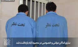 سارق اماکن دولتی و خصوصی در محمودآباد بازداشت شد