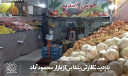 بازدید نظارتی یلدایی از بازار محمودآباد 
