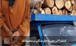 کشف ۳ تن چوب قاچاق جنگلی در محمودآباد
