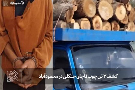 کشف ۳ تن چوب قاچاق جنگلی در محمودآباد