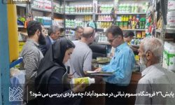 پایش 26 فروشگاه سموم نباتی در محمودآباد/ چه مواردی بررسی می شود؟