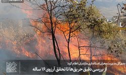 از بررسی دقیق حریق‌ها تا تحقق آرزوی ۱۶ ساله