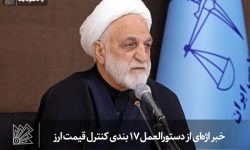 خبر اژه‌ای از دستورالعمل ۱۷ بندی کنترل قیمت ارز