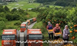 پوست‌اندازی باغ‌های شمال تا میوه‌هایی که جهان‌گیر می‌شوند!