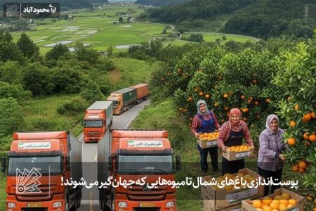 پوست‌اندازی باغ‌های شمال تا میوه‌هایی که جهان‌گیر می‌شوند!