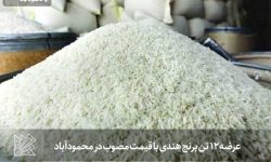 عرضه ۱۲ تن برنج هندی با قیمت مصوب در محمودآباد 