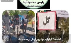 کشف ۳۰ کیلوگرم مواد روان‌گردان در محمودآباد