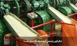 شالیکوبی؛ صنعتی که چشم‌انتظار حمایت است