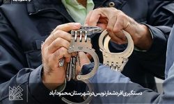 دستگیری افرد شعار نویس در شهرستان محمودآباد