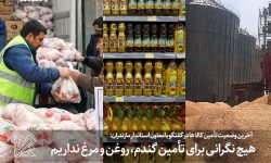 هیچ نگرانی برای تأمین گندم، روغن و مرغ نداریم