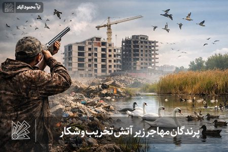 پرندگان مهاجر زیر آتش تخریب و شکار