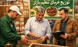 آغاز عرضه خرمای تنظیم‌بازاری در محمودآباد؛ هر کیلو ۲۹۵ هزار تومان