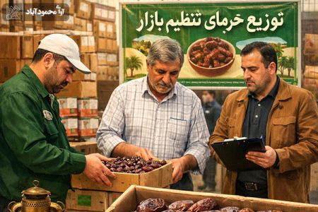 آغاز عرضه خرمای تنظیمبازاری در محمودآباد؛ هر کیلو ۲۹۵ هزار تومان