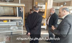 بازدید نظارتی از نانوای‌های نوع ۶ محمودآباد