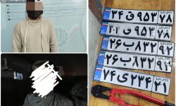 دستگیری سارقین سریالی پلاک خودرو در محمودآباد 