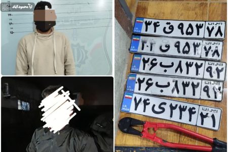 دستگیری سارقین سریالی پلاک خودرو در محمودآباد