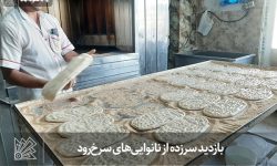 بازدید سرزده از نانوایی‌های سرخ‌رود
