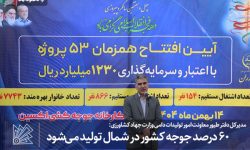 ۶۰ درصد جوجه کشور در شمال تولید میشود